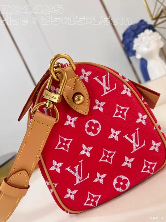 25 Vuitton Louis SPEEDY 0524